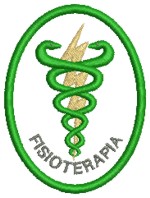 Logo Fisioterapia - Fanny Rose Bordaos Computadorizados